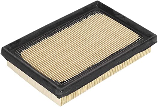 Air Filter OEM (PSA Group) 1616368880