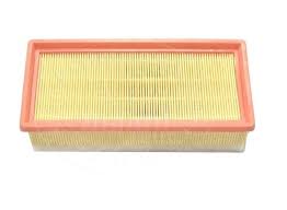 Air Filter OEM (PSA Group) B000754480