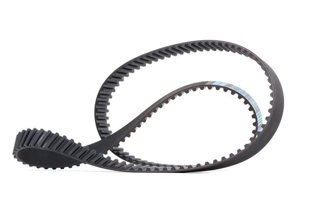 Timing Belt PSA Group 081668