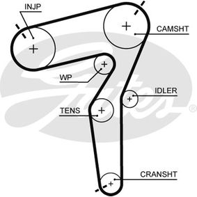 Timing Belt PSA Group/Vauxhall 95524042